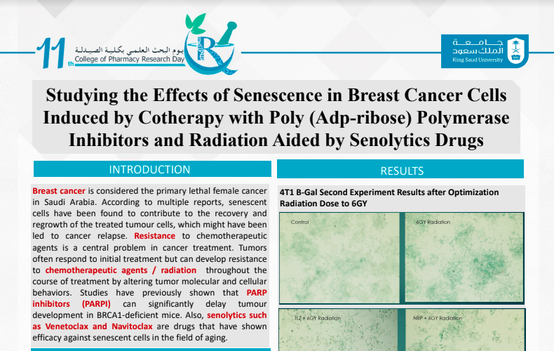 Studying the Effects of Senescence in Breast Cancer Cells Induced by Cotherapy with Poly (Adp-ribose) Polymerase Inhibitors and Radiation Aided by Senolytic Drugs