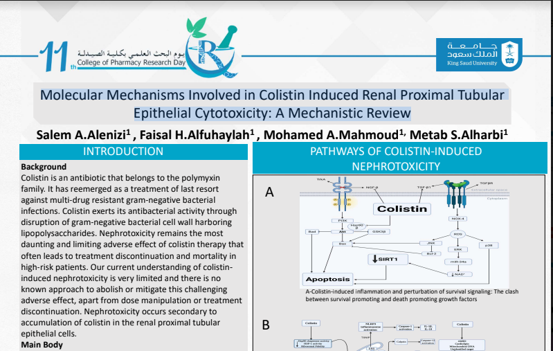Molecular Mechanisms Involved in Colistin Induced Renal Proximal Tubular  Epithelial Cytotoxicity: A Mechanistic Review
