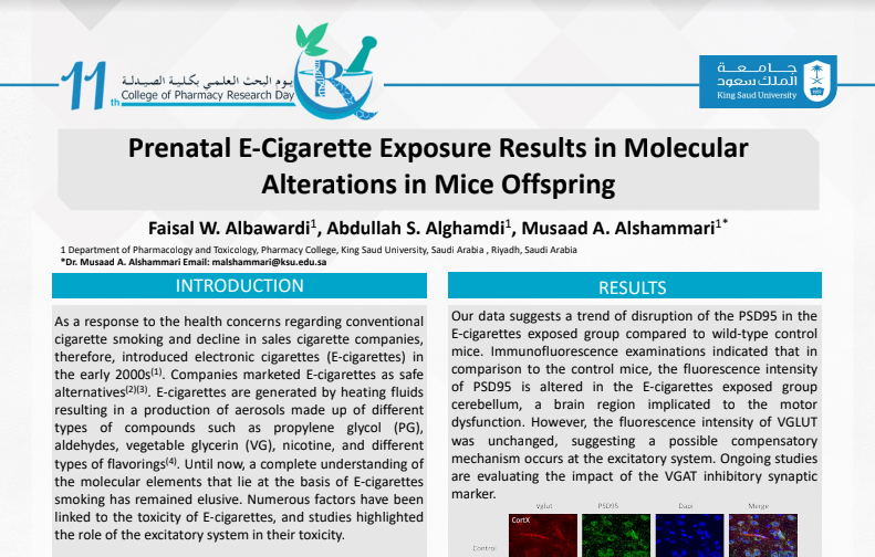 Prenatal E-Cigarette Exposure Results in Molecular Alterations in Mice Offspring
